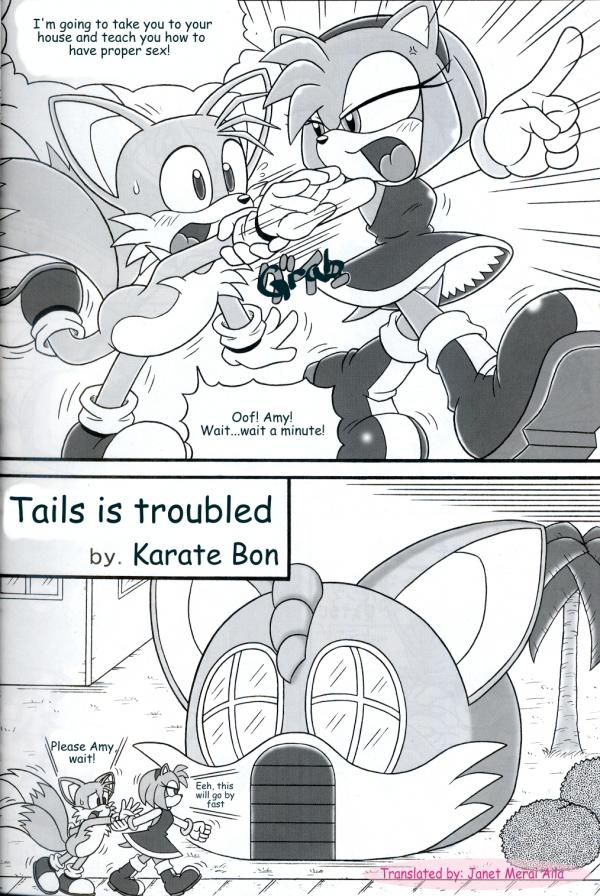 amy_rose comic fur furry furry_bomb furry_tail hedgehog mammal mitsuharu_takura multiple_tails sonic_(series) sonic_battle tail tails