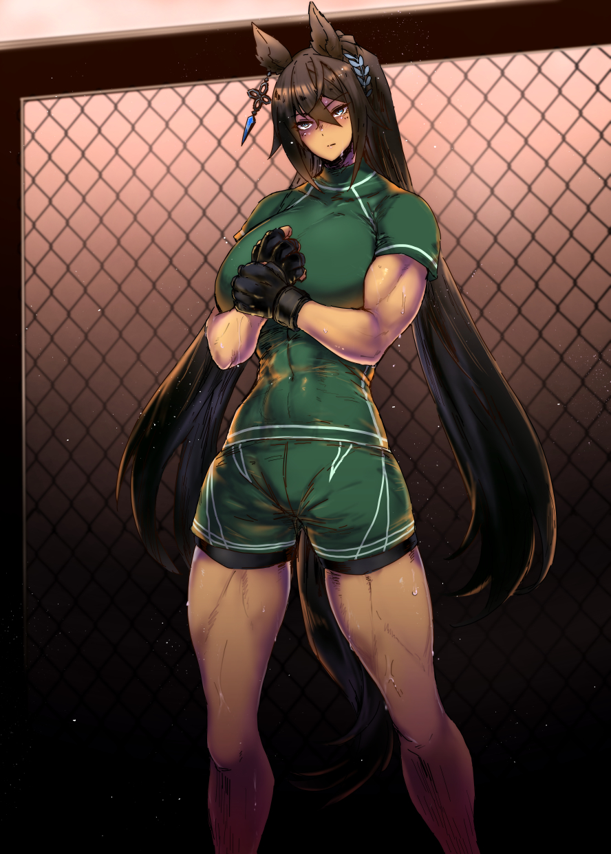 Symboli Kris S (Umamusume) Rule 34 Image