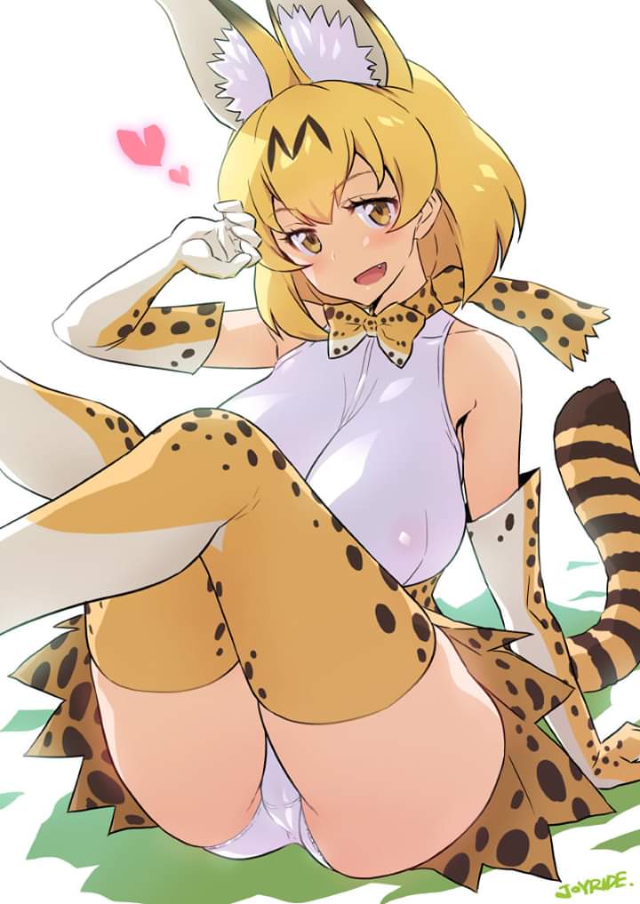 1girls animal_ears ass big_breasts blonde_hair breasts joy_ride kemono_friends large_breasts panties serval_(kemono_friends) short_hair sitting solo tagme tail white_panties