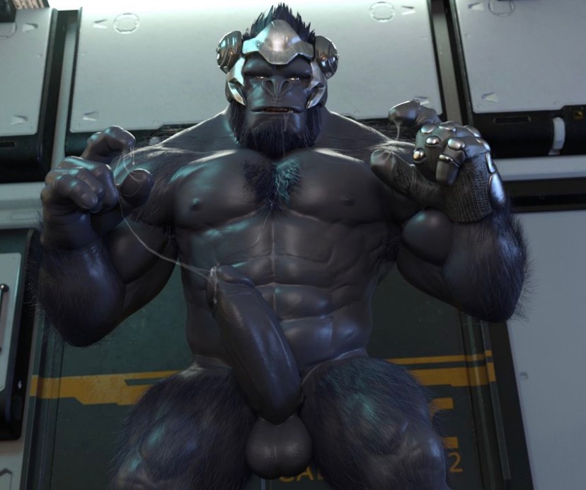 3d, 3d (artwork), ape, balls, big balls, big penis, boner, cum, cum on hands, erection, gay, gorilla, hairy arms, haplorhine, male, male only, muscular, muscular male, nude, overwatch, penis, primate, solo, solo male, winston (overwatch)