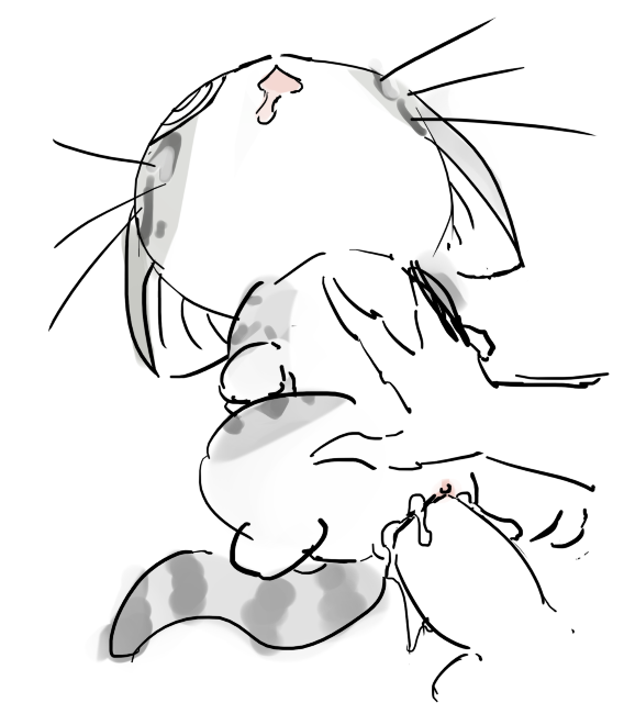 Chi'S Sweet Home Rule 34 Image