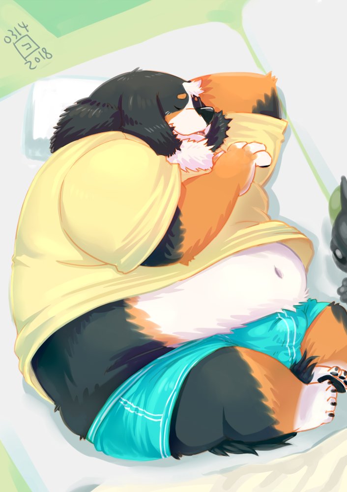 2018 ambiguous_gender anthro bed belly bernese_mountain_dog bird's-eye_view bulge canid canine canis chest_tuft closed_eyes clothing domestic_dog duo erection erection_under_clothing furniture high-angle_view male male/ambiguous male_only mammal midriff molosser mountain_dog navel obese overweight pillow shirt sleeping solo_focus swiss_mountain_dog topwear totemoii_029 tuft underwear unknown_species