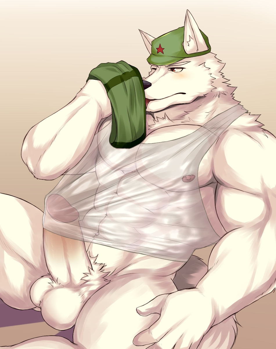 1boy 617foreverwithy anthro balls canid canine clothed clothing erection fur genitals green_clothing green_headwear headgear headwear hi_res holding_clothing male male_only mammal muscular muscular_male one_eye_closed penis see-through see-through_clothing see-through_top white_body white_fur