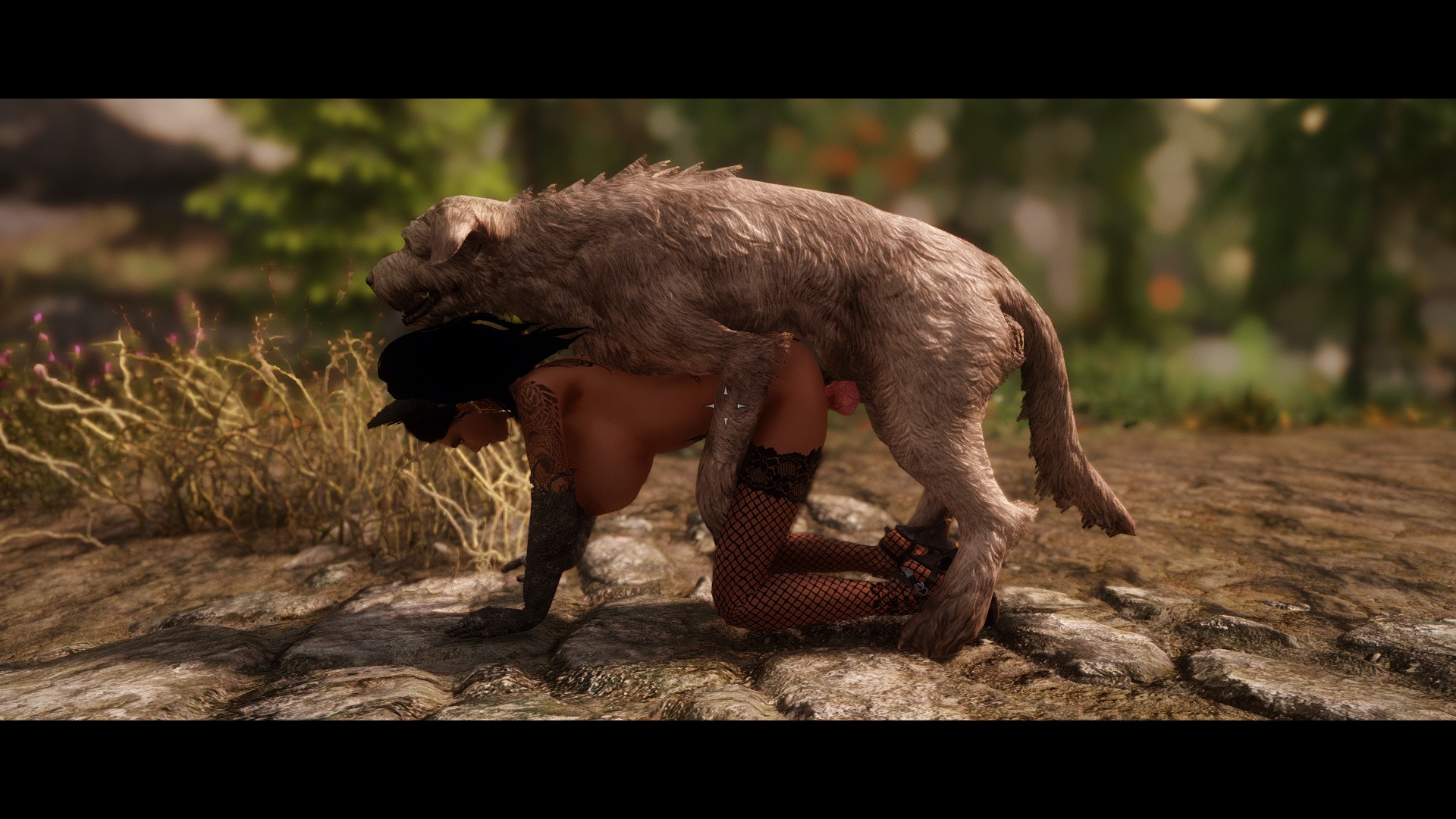 1animal, 1girls, 3d, all fours, black hair, breasts, canine, cat ears, doggy style, female, feral on female, human, interspecies, large breasts, lingerie, outdoors, pussy, skyrim, the elder scrolls, thighhighs, vaginal penetration, wolf, zoophilia