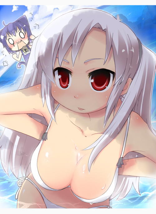 animal_ears bikini breasts cat_ears chika_midarezaki cleavage kyouka_midarezaki kyouran_kazoku_nikki large_breasts midarezaki_chika midarezaki_kyouka one-piece_swimsuit red_eyes school_swimsuit swimsuit white_hair