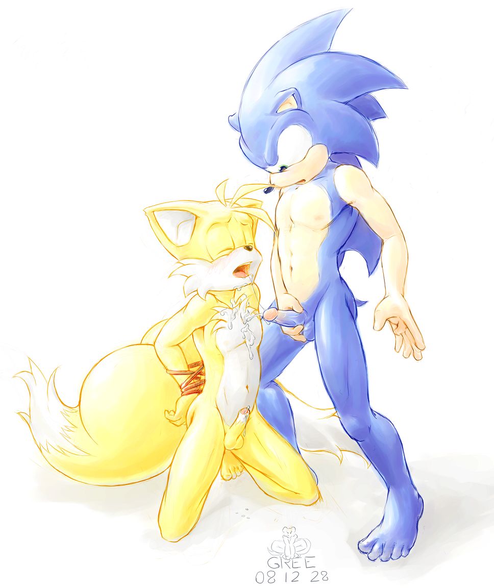 2008 anthro canine fox fur furry furry_only gree hedgehog interspecies kneeling male male_only mammal multiple_males no_humans nude rope sonic_(series) sonic_the_hedgehog sonic_the_hedgehog_(series) sonic_the_hedgehog_2 standing tails yaoi