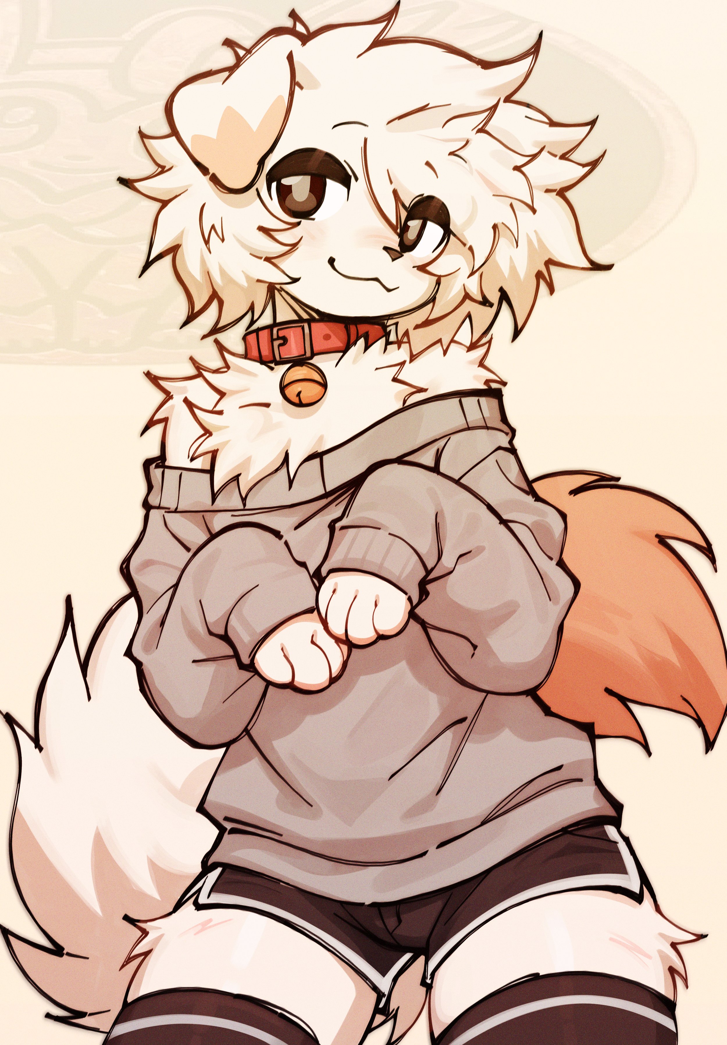 1boy, anthro, bedroom eyes, bell collar, canine, chantiyi, chantiyii, chest tuft, collar, crossdressing, dolphin shorts, domestic dog, femboy, fluffy, fluffy tail, fur, looking at viewer, male, mammal, off shoulder, sfw, short shorts, smirk, solo, sweater, tail, trap, white fur, wypher (koiwypher)