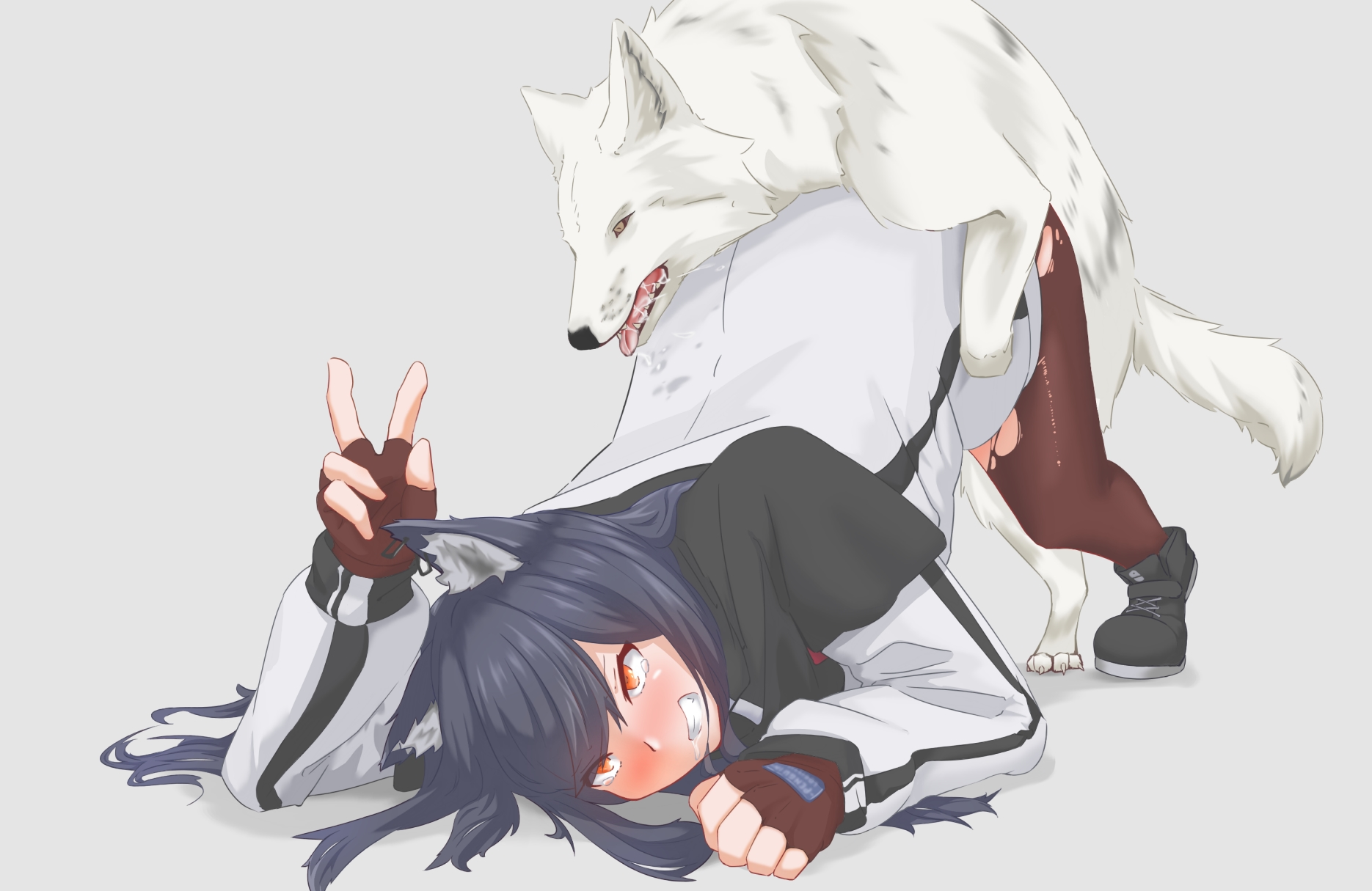 1boy, 1girls, animal ears, arknights, black hair, blush, breasts, canid, canine, canis, clothed, clothed sex, clothing, doggy style, domestic dog, female, feral on female, grey background, kemonomimi, long hair, looking at viewer, male, male/female, red eyes, rolling eyes, simple background, smile, texas (arknights), top-down bottom-up, v, zoophilia