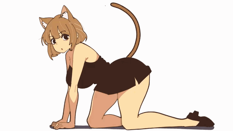 1girls 2d 2d_animation :3 :o animated black_dress black_shoes brown_ears brown_hair brown_tail cat_ears cat_tail catgirl color female female_focus female_only four_ears??? gif hourglass_figure large_ass looking_at_viewer mayu_naisu meow meowing nya on_all_fours on_hands on_hands_and_knees on_knees