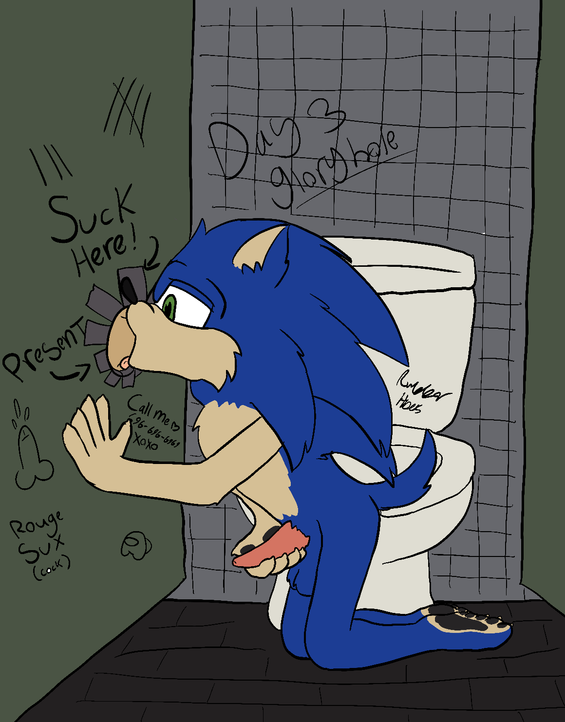 animal_genitalia anthro bathroom duo eulipotyphlan genitals glory_hole hedgehog hi_res kneeling male male/male mammal masturbation oral public_restroom restroom_stall rubberh0es_(artist) sega sonic_(series) sonic_the_hedgehog sonic_the_hedgehog_(series) tape toilet unknown_character writing_on_wall