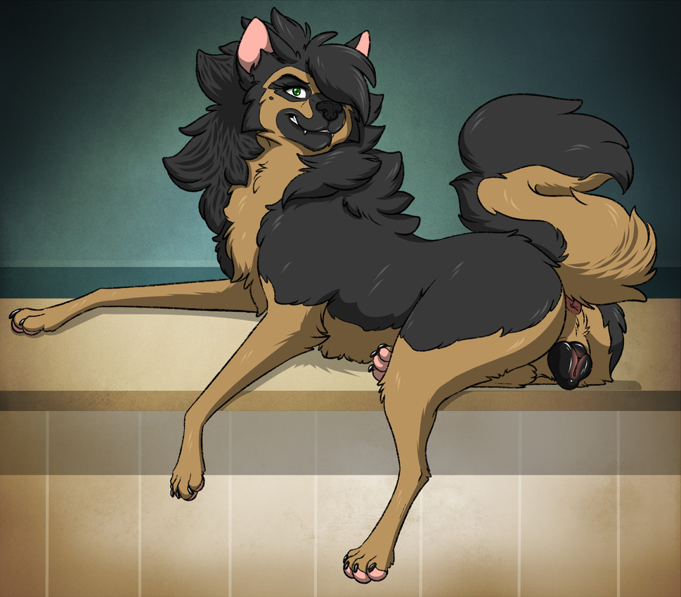 2022, anatomically correct, anatomically correct anus, anatomically correct genitalia, anatomically correct pussy, animal anus, animal genitalia, animal pussy, anus, ass, asshole, black body, black claws, black fur, black hair, black nose, black pussy, blush, body blush, brown body, brown fur, canid, canine, canine anus, canine genitalia, canine pussy, canis, claws, conditional dnp, digital media (artwork), domestic canine, domestic dog, fangs, feet, female, female canine, female dog, female feral, female focus, female only, female solo, feral, feral female, feral focus, feral only, feral solo, fluffy, fluffy ears, fluffy fur, fluffy tail, fur, genitalia, german shepherd, green eyes, hair, herding dog, hi res, high resolution, highres, hind legs, hindlegs, hindpaw, husky, hybrid, in heat, looking at viewer, lying, lying on front, mammal, nordic sled dog, pastoral dog, pawpads, paws, pink anus, pink pawpads, plump labia, presenting, presenting anus, presenting ass, presenting butt, presenting hindquarters, presenting pussy, psy101, pussy, pussy blush, quadruped, raised tail, raven (psy101), simple background, smile, smiling, smiling at viewer, solo, solo female, solo feral, solo focus, spitz, tail, tail anus, tail raised, tailhole, teeth, toe claws, toes, vagina, vulva, vulva blush