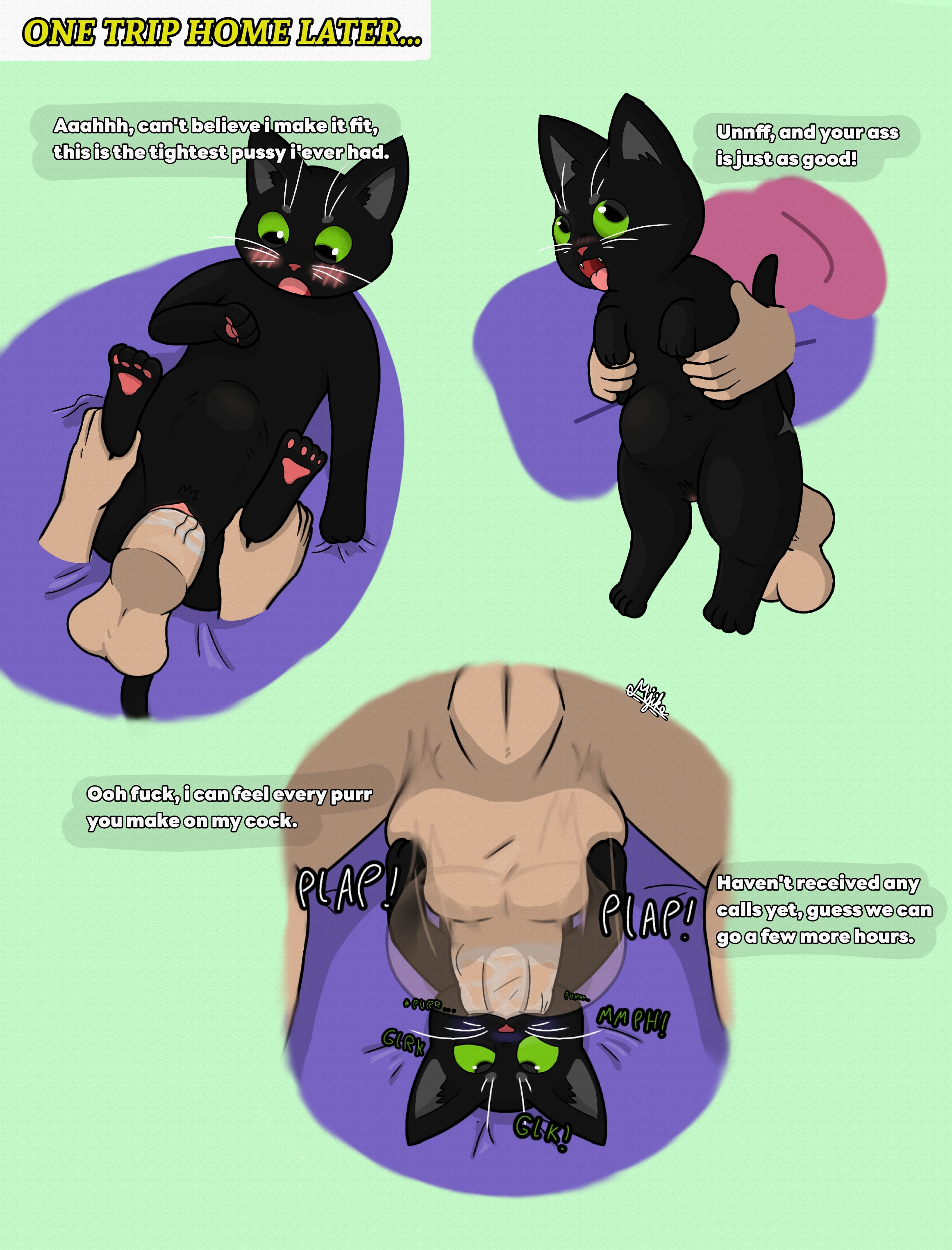 2025, a cat is fine too, absurd res, anal, anal sex, backsack, balls, ballsack, bed, big dom small sub, black body, black eyes, black fur, blush, bulge, deep penetration, deep throat, domestic cat, dominant, duo, english text, felid, feline, felis, female, feral, fleshlight position, fur, furniture, genitals, green sclera, hi res, holding balls, holding both legs, human, interspecies, little kitty (lkbc), little kitty big city, looking at another, looking at genitalia, looking at penis, looking pleasured, looking up, majika, male, male on feral, male on top, male/female, mammal, on bed, on top, open mouth, oral, oral penetration, paws, penetration, penis, purring, pussy, questionable consent, sex, simple background, size difference, smaller penetrated, sound effects, speech bubble, text, tongue, tongue out, vaginal penetration, vulva, zoophilia