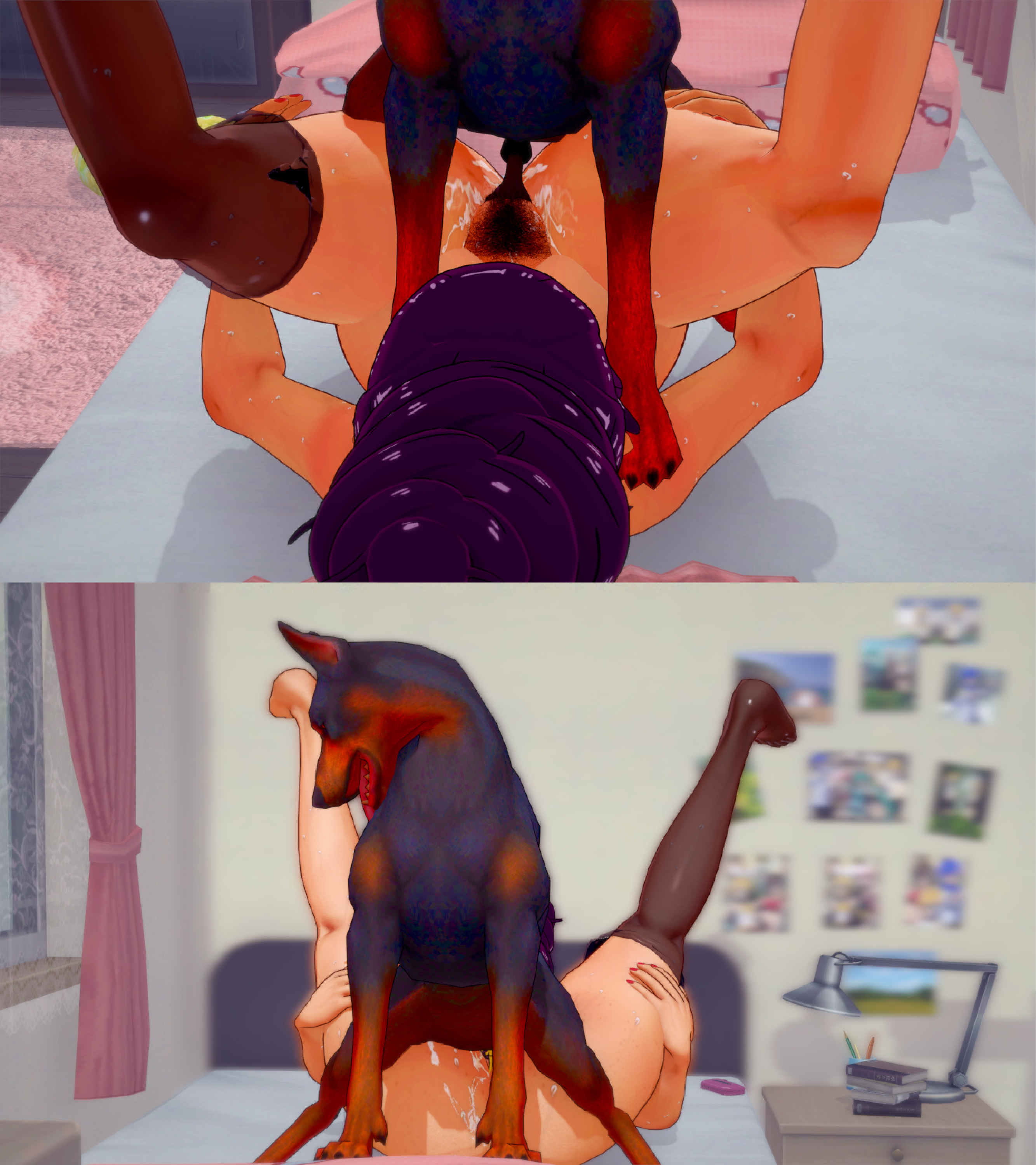 3d, 3d (artwork), canine, canine penis, command grab, female, female on feral, feral on female, feral on human, feral penetrating, knot, knotted penis, koikatsu, koikatsu (medium), male, mating press, penis, pussy, vaginal penetration, zoophilia