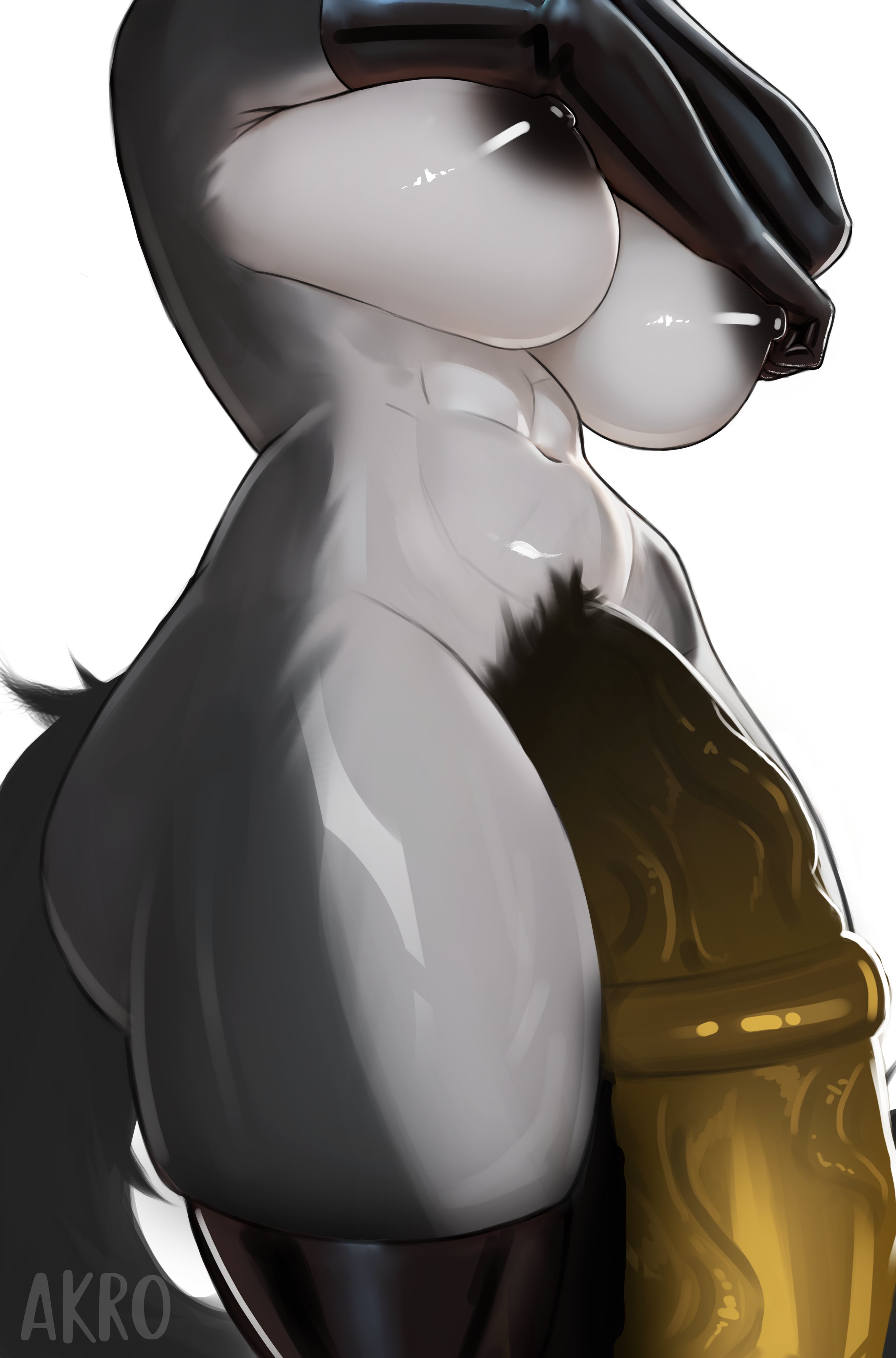 1futa, 2d, 2d (artwork), akrodraws, anthro, fur, futanari, genitals, penis, tagme, vira (jinsang 3d)