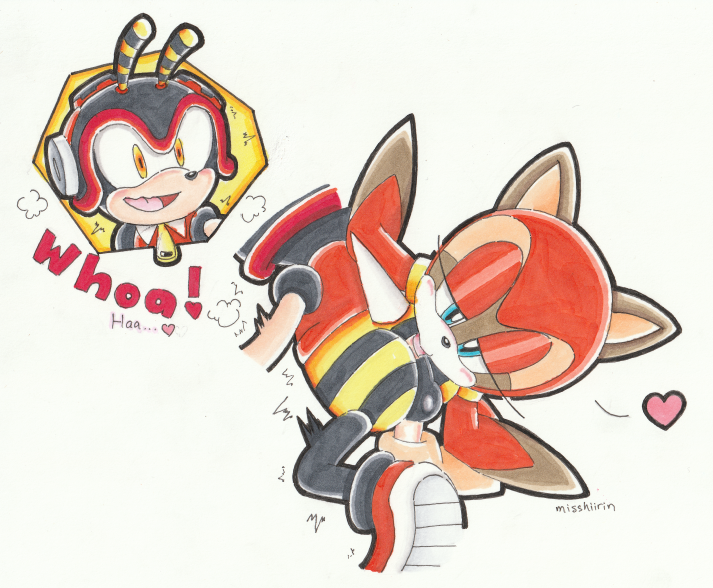 anus charmy_bee female furry furry_female furry_only male marine_the_raccoon misshiirin penis rimming rimming_male sega sonic_(series) sonic_rush_adventure sonic_the_hedgehog_(series)