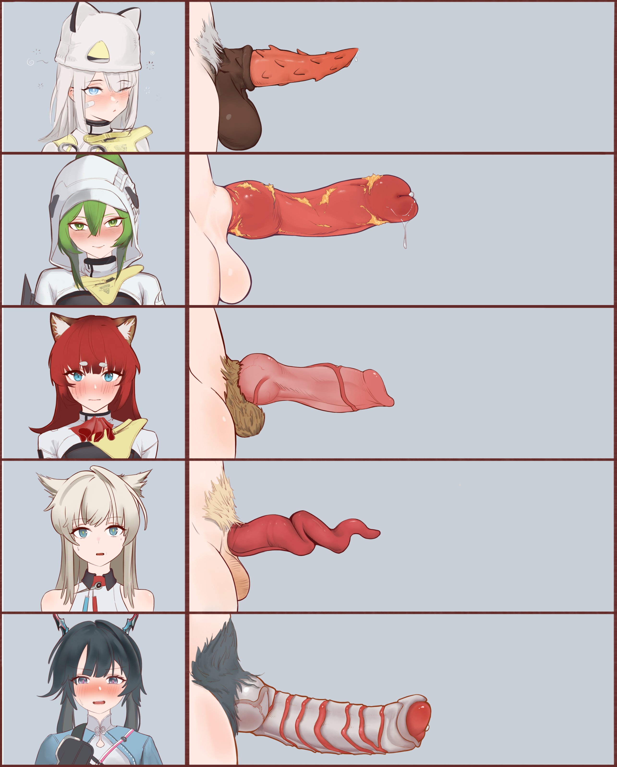 akekuri, animal ears, animal genitalia, animal penis, arknights: endfield, barbed penis, big penis, chart, chen qianyu (arknights: endfield), estella (arknights: endfield), fluorite (arknights: endfield), furry balls, futanari, hairy balls, knot, multiple futa, penis, penis chart, penis size chart, penis size difference, perlica (arknights: endfield), rioffi, small penis, smegma, uncensored