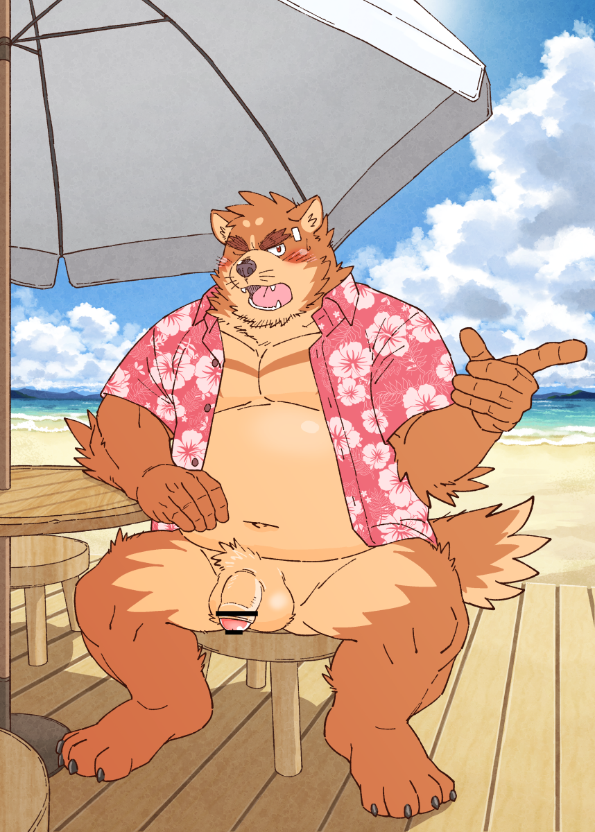 anthro balls beach belly blush brown_body brown_fur canid canine clothed clothing detailed_background fur genitals hi_res humanoid_genitalia humanoid_hands humanoid_penis kemono male male_only mammal moobs navel open_shirt outside overweight overweight_male penis ryuta-h seaside shirt sitting solo topwear water