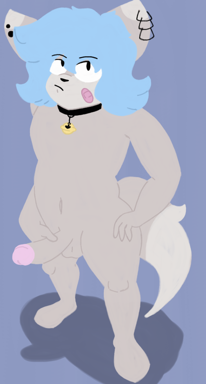 anthro bell canid canine canis ear_piercing ear_ring erection flufflewdzthings hand_on_hip hand_on_penis hi_res high-angle_view looking_up male male_only mammal nude piercing shadow solo wolf