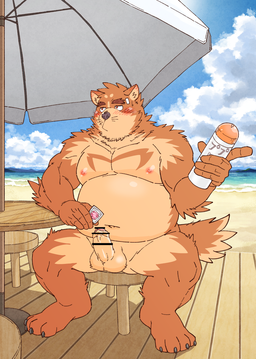 anthro balls beach belly blush brown_body brown_fur canid canine condom detailed_background erection fur genitals hi_res humanoid_genitalia humanoid_hands humanoid_penis japanese_text kemono male male_only mammal moobs navel nipples outside overweight overweight_male penis ryuta-h seaside sexual_barrier_device sitting solo text water