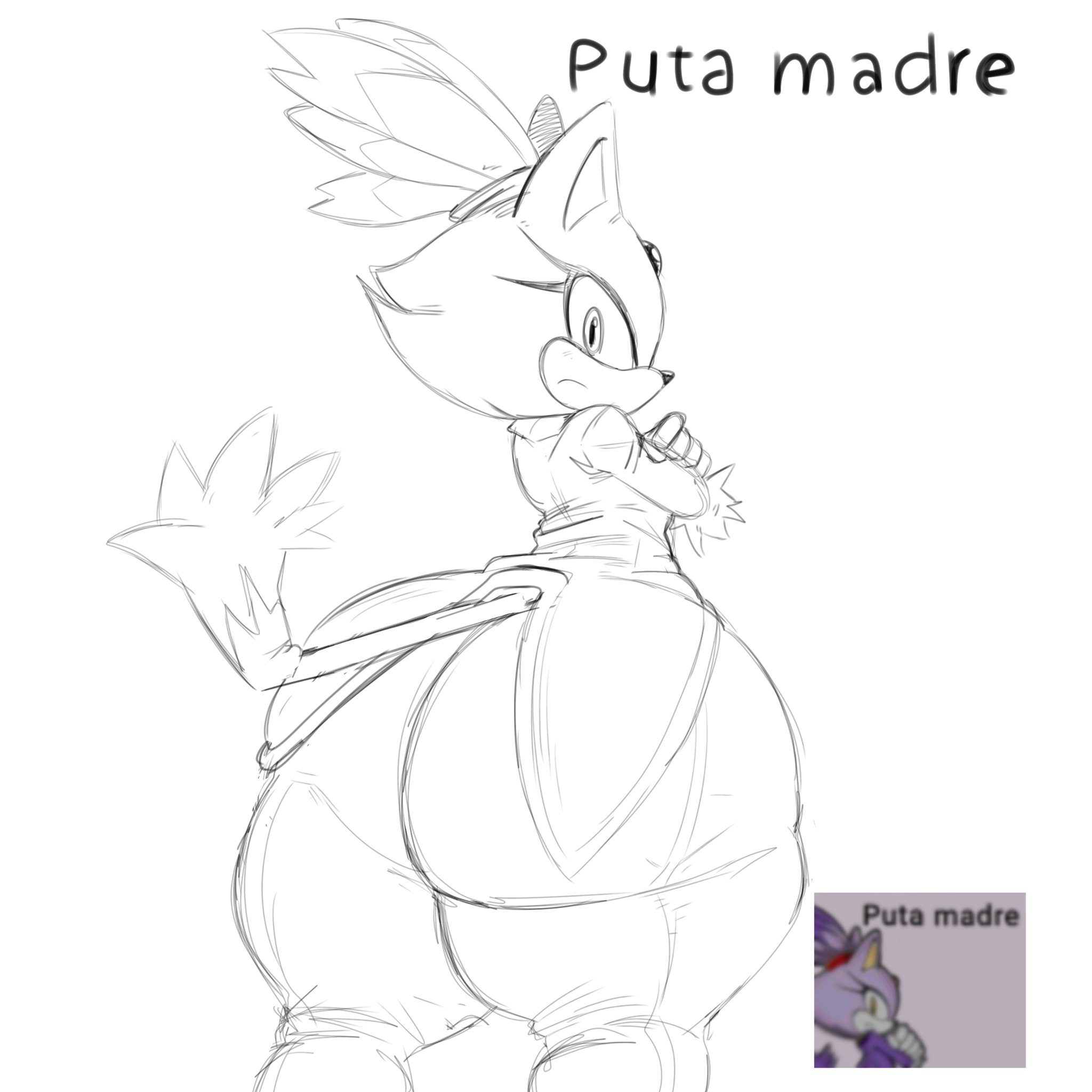 anthro, ass, big ass, blaze the cat, feline humanoid, female, huge ass, large ass, meme, nosoyblobis, puta madre, reference image, solo, sonic (series), sonic rush, sonic the hedgehog (series), source request, spanish dialogue, spanish text, text