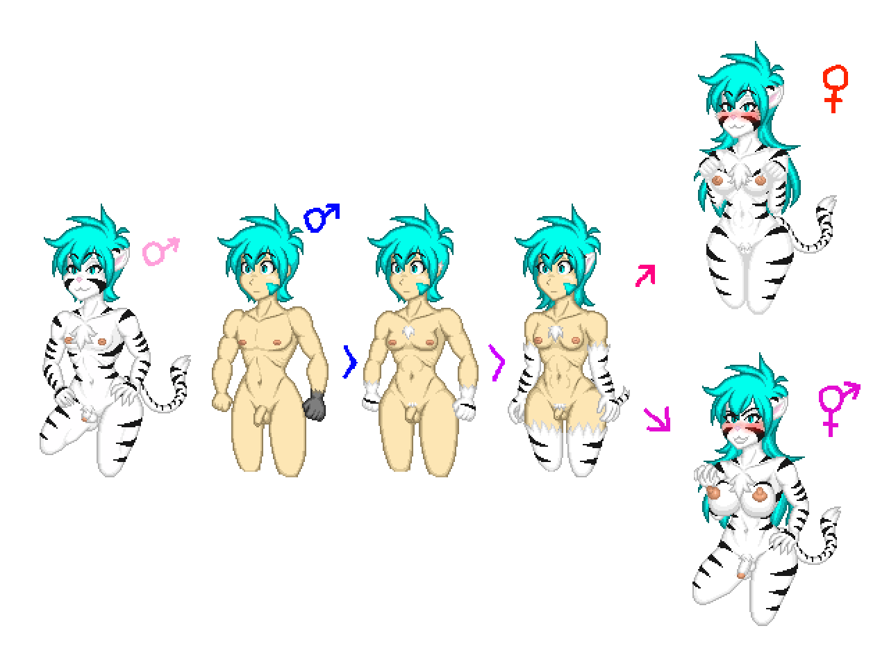 4:3 alpha_channel animal_humanoid anthro balls blush eropixelda_(artist) felid female futa_is_bigger futanari futanari_transformation gender_symbol gender_transformation genitals girly gynomorph human human_to_anthro humanoid intersex keidran male mammal mtf_transformation mti_transformation pantherine penis rule_63 simple_background solo species_transformation symbol tiger trace_legacy transformation transparent_background twokinds webcomic ♀ ♂ ⚥