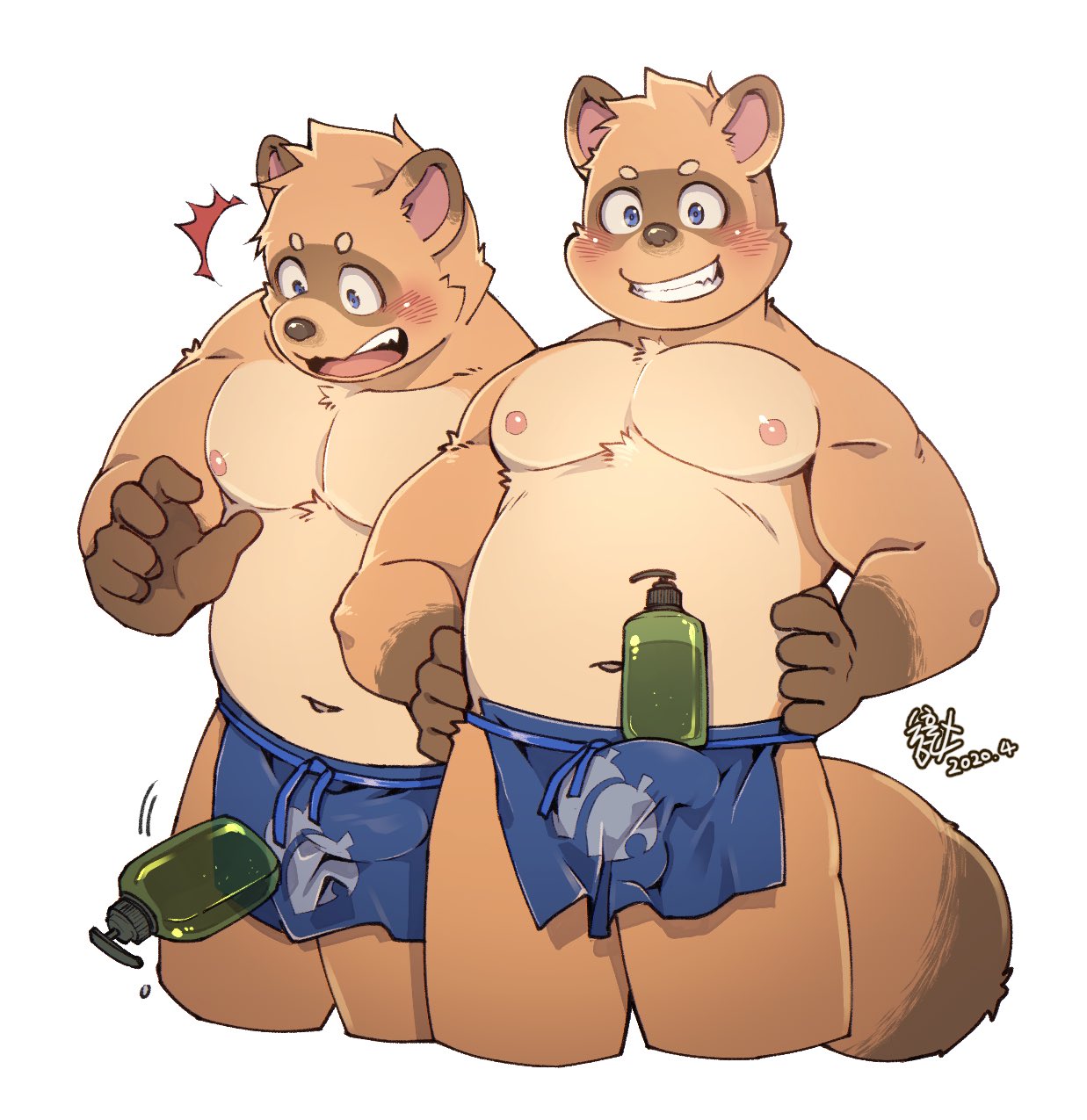 1boy 2020 animal_crossing anthro apron bara belly blue_eyes blush brown_body brown_fur bulge canid canine clothing duo erection erection_under_clothing fur genital_outline hi_res humanoid_hands m_ikky male male_only mammal moobs navel nintendo nipples penis_outline raccoon_dog shampoo_challenge simple_background slightly_chubby solo_male tanuki timmy_nook tommy_nook video_games white_background