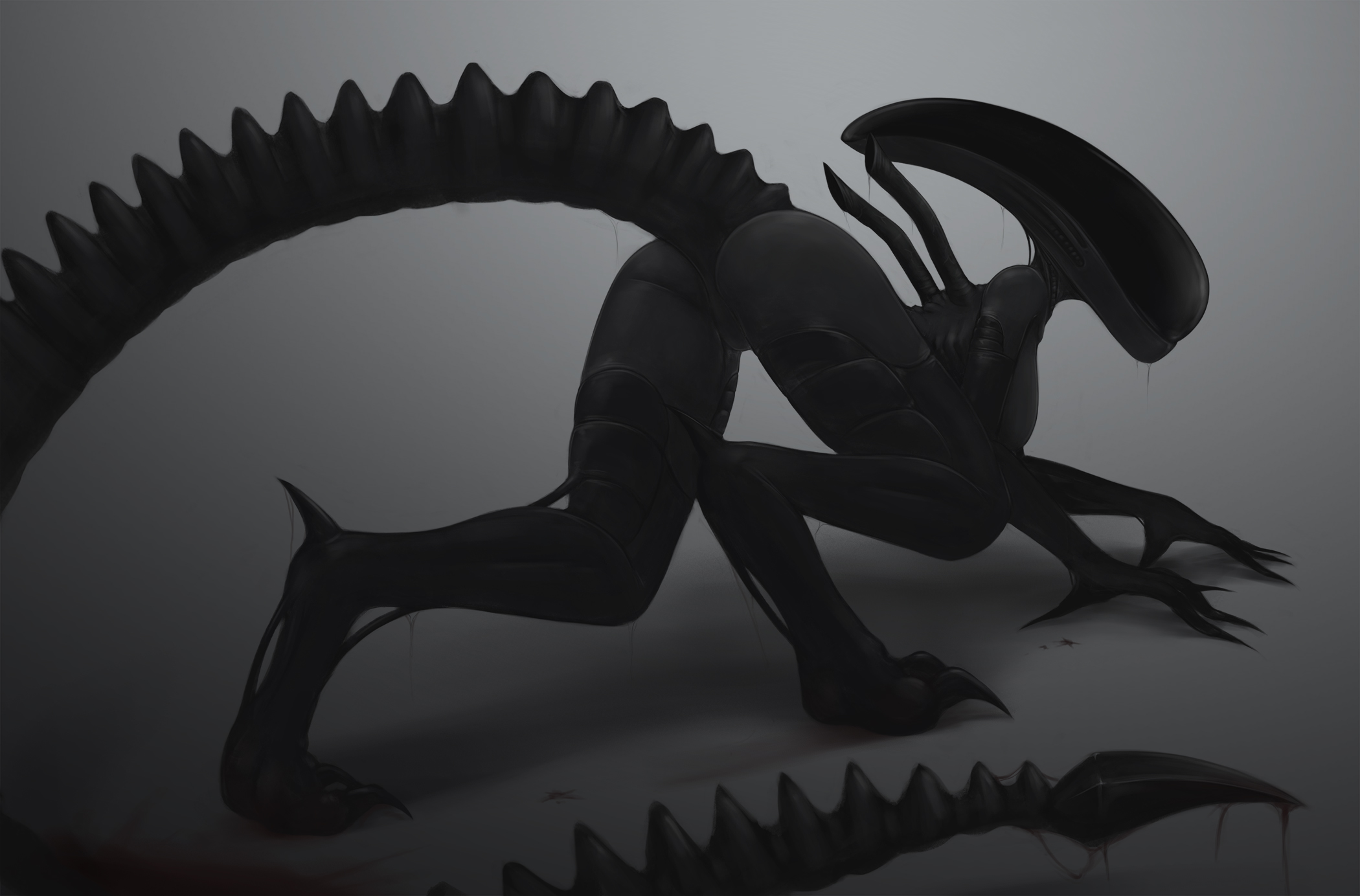 1girls, 2d, alien, alien (franchise), anthro, ass, exoskeleton, female, female only, female xenomorph, impracticalart, solo, solo female, xenomorph