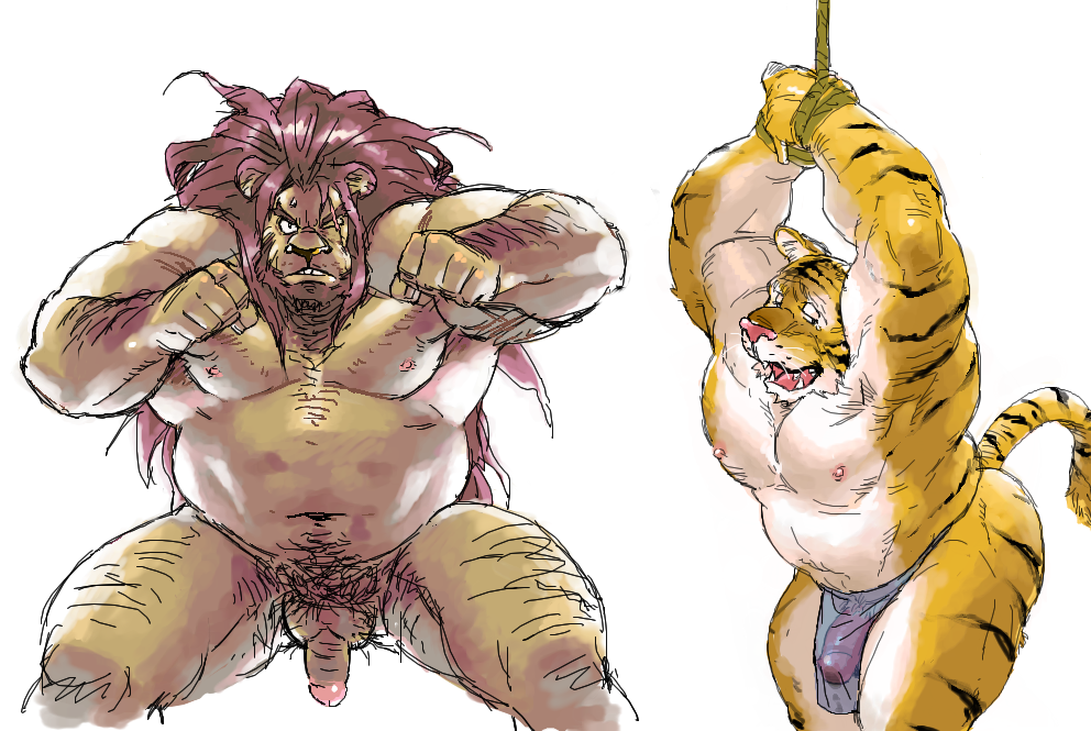 2010 anthro balls belly bound duo felid fur genitals kemono kira_nerisu lion male male_only mammal moobs navel nipples overweight overweight_male pantherine penis pubes rope simple_background tiger white_background yellow_body yellow_fur