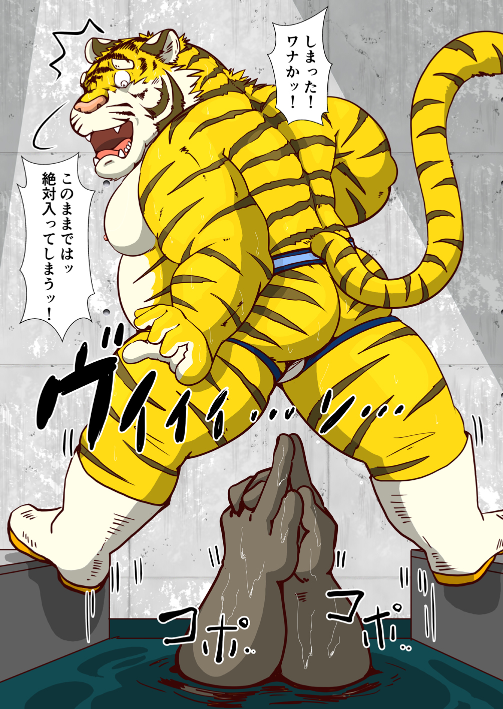 2019 anthro balls belly clothing felid fur genitals hi_res humanoid_hands japanese_text jockstrap kancho kemono male male_only mammal moobs nipples overweight overweight_male pantherine predicament raichoclub solo_focus text tiger underwear water white_body white_fur yellow_body yellow_fur