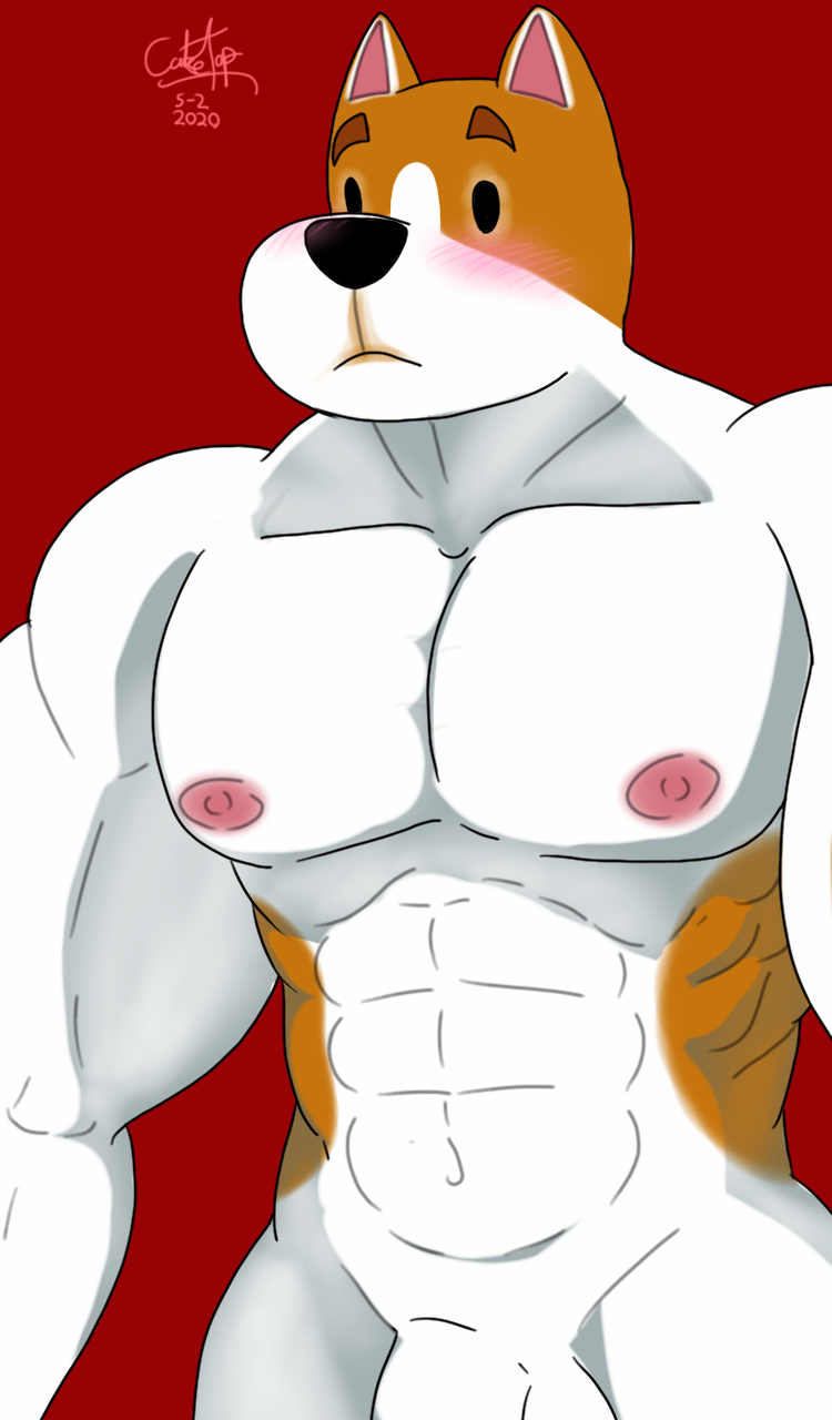 1boy 2020 abs animal_crossing anthro balls blush cake_top canid canine canis copper_(animal_crossing) domestic_dog genitals hi_res male male_only mammal muscular muscular_male nintendo nipples nude penis simple_background solo solo_male video_games