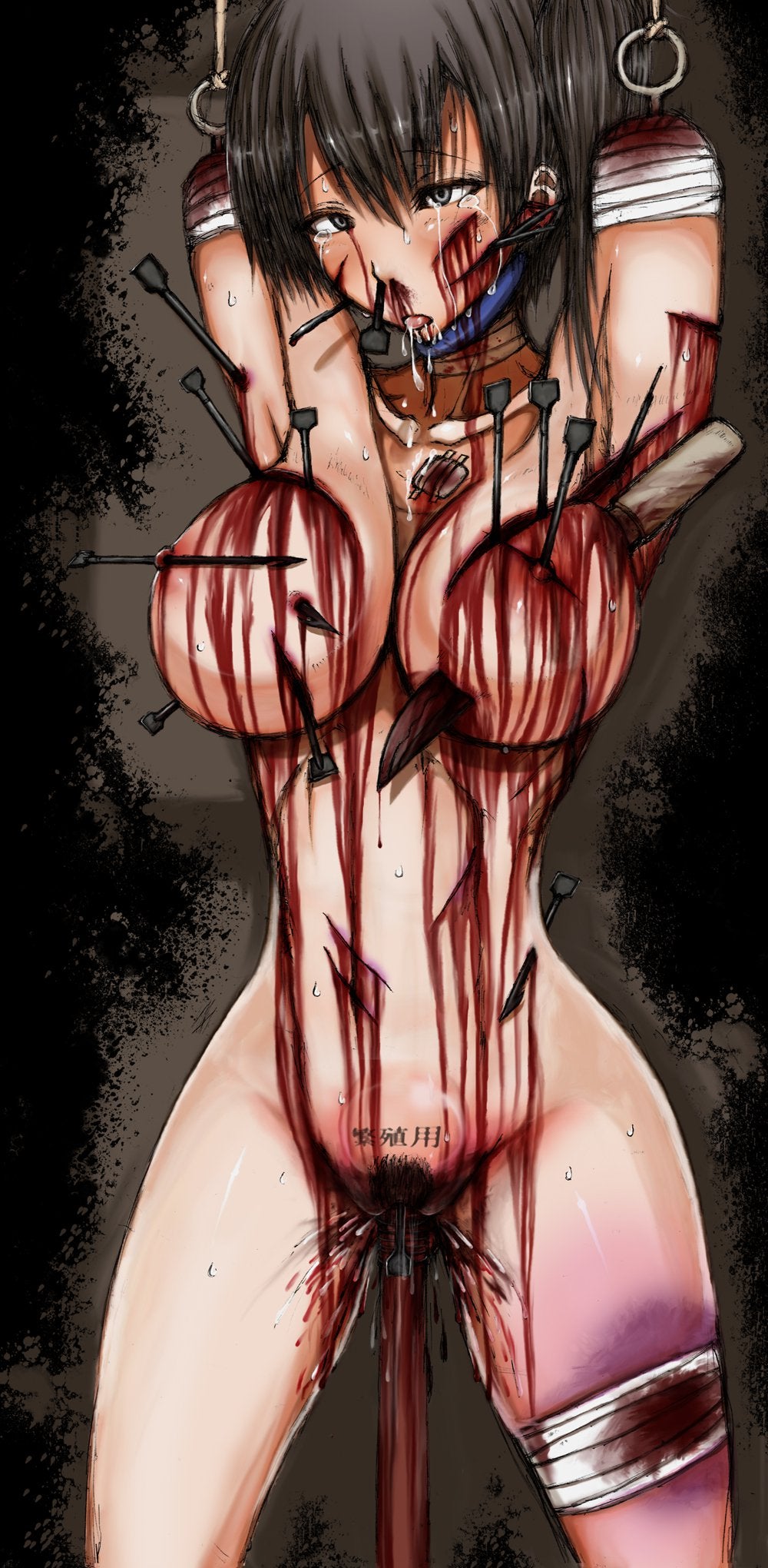 1girls, ahe gao, amputee, artist request, bandage, big breasts, breasts, bruise, cuts, female, female only, gore, guro, imminent death, impalement, nude, ryona, solo, tagme, tears