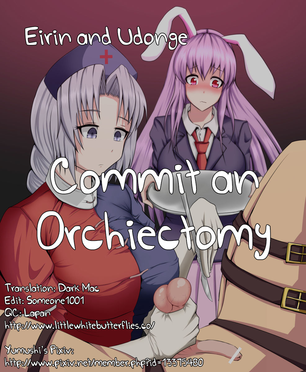 1boy 2girls bar_censor bondage castration cbt censor_bar censored censored_penis cock_and_ball_torture eirin_yagokoro english_text femdom guro male purple_hair rabbit_ears red_eyes reisen_udongein_inaba testicles text touhou translated yumusiusu