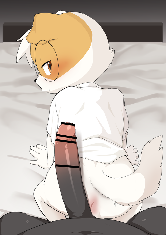 :3, 2boys, all fours, anthro, ass, bar censor, big penis, bincu (marimo), bottomless, censored, cub, domestic dog, eyewear, furry, glans, glasses, huge cock, humanoid genitalia, inminent sex, looking at viewer, looking back, male, male cub, male only, male/male, manmosu marimo, marei (marimo), penis, pov, seductive, white fur, white shirt, young