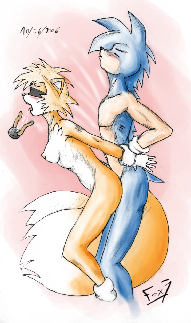 2006 anthro breasts canine female fox fox7 fur hedgehog interspecies male mammal nude rule_63 sex side_view sonic_(series) sonic_the_hedgehog sonic_the_hedgehog_(series) sonic_the_hedgehog_2 standing straight tagme tails tailsko