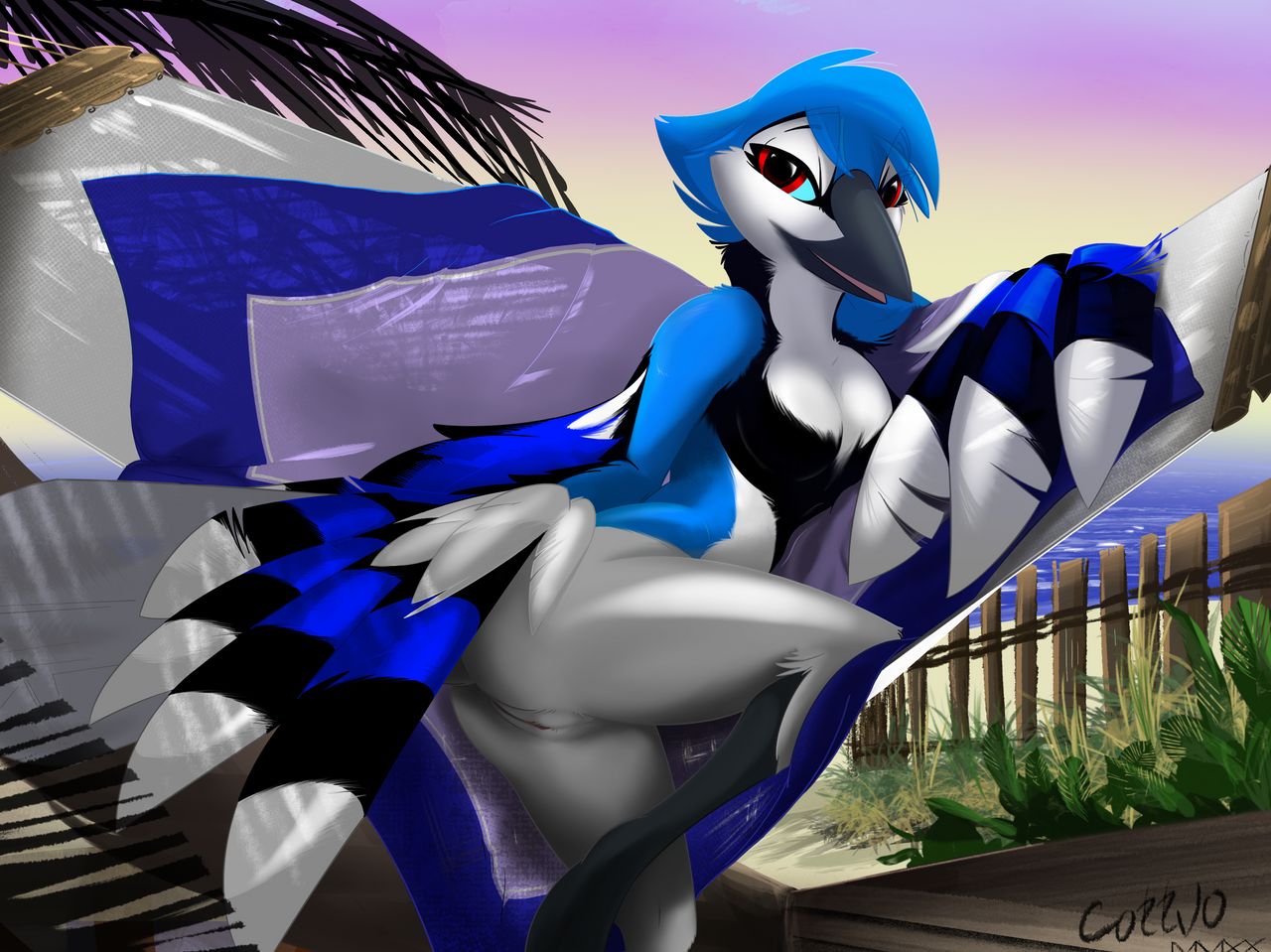 anthro avian beach bird blue_jay breasts corrvo corvid deck_(structure) feather_6 feathered_wings feathers female fencing genitals hammock jay_(bird) mati new_world_jay non-mammal_breasts nude outside palm_trees presenting presenting_pussy pussy seaside solo wings