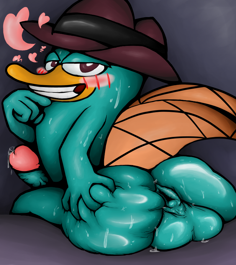 anthro anus ass balls beak blush bodily_fluids butt_grab clothing disney dripping fedora genital_fluids genitals hand_on_butt hat headgear headwear heart inviting inviting_to_sex male male_only mammal momu9172 monotreme penis perry_the_platypus phineas_and_ferb platypus precum precum_drip presenting presenting_anus rear_view solo spread_butt spreading sweat tail