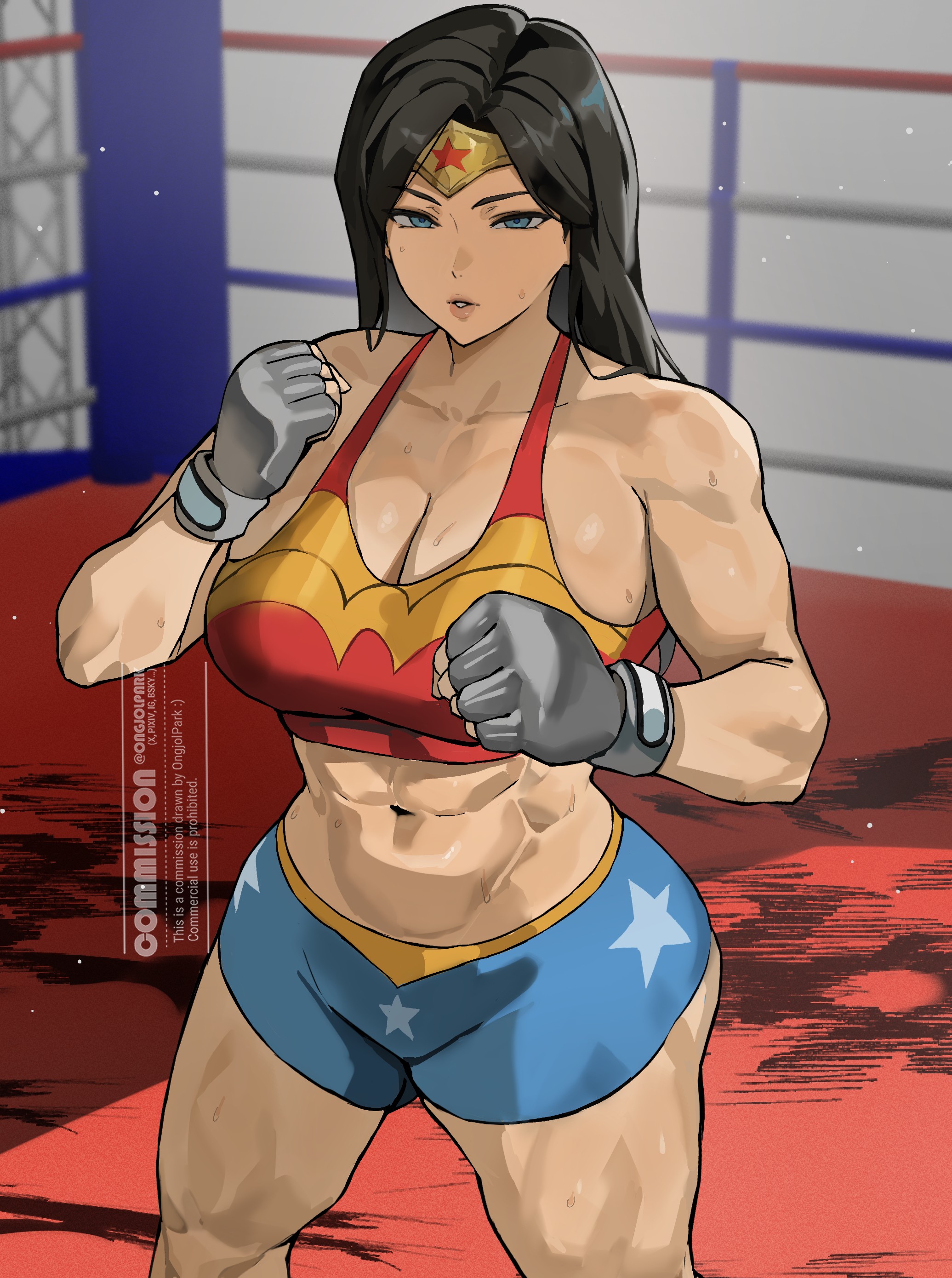 1girls, breasts, dc, dc comics, diana prince, female, female focus, female only, justice league, large breasts, light skin, light-skinned female, ongjolpark, solo, thick thighs, thighs, wide hips, wonder woman, wonder woman (series)