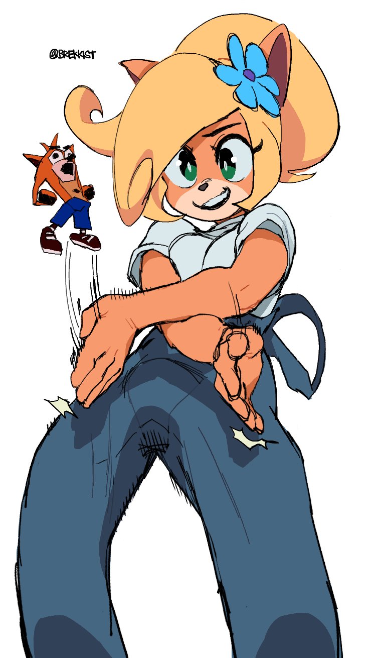 1boy anthro bandicoot brekkist coco_bandicoot crash_(series) crash_bandicoot female