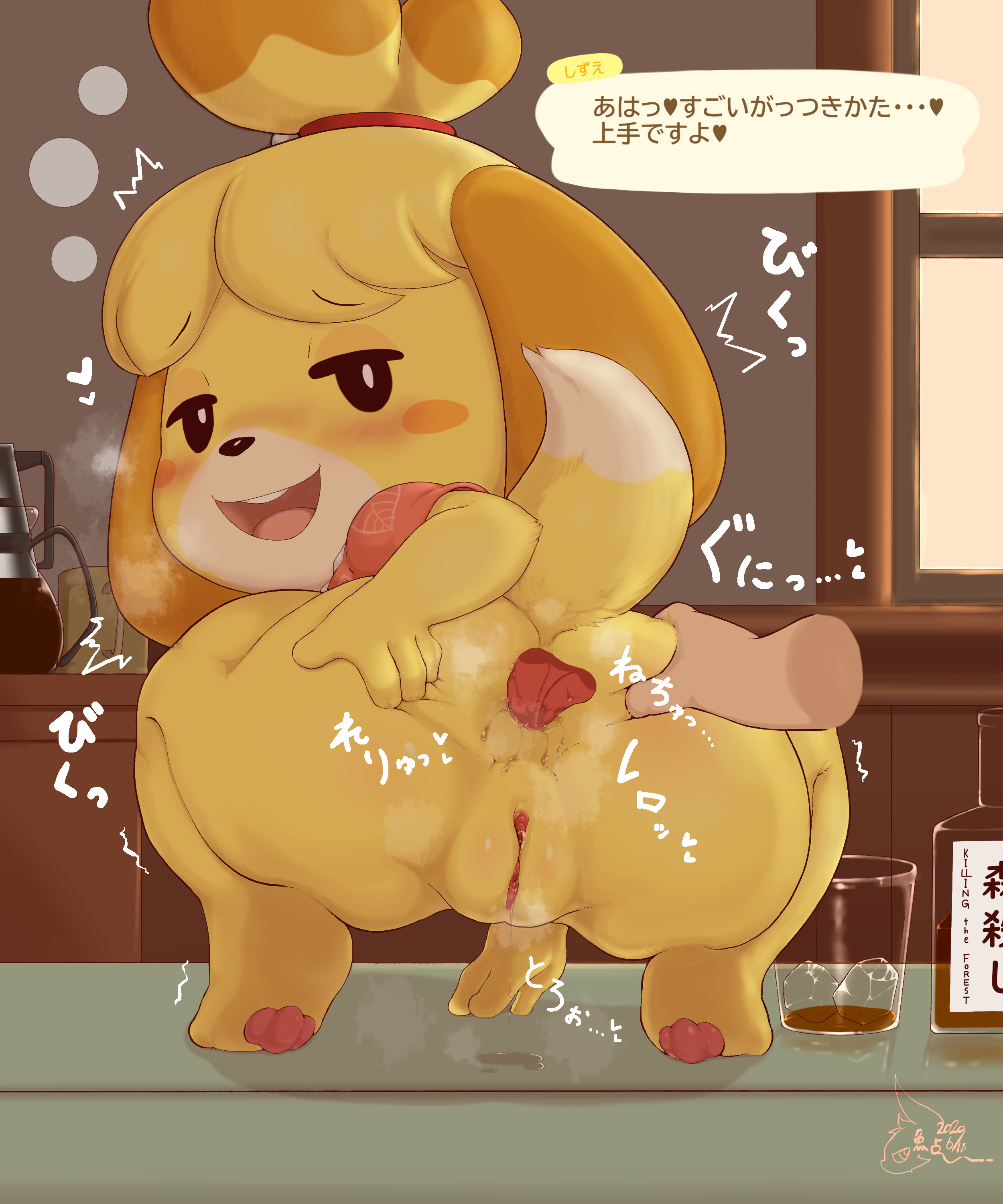2020, absurd res, alcohol, anal, animal crossing, anthro, anus, beverage, blush, bodily fluids, canid, canine, canis, check translation, crouching, dialogue, dipstick tail, disembodied hand, disembodied tongue, domestic dog, duo, female, fur, genital fluids, genitals, hi res, inside, isabelle (animal crossing), japanese text, looking back, mammal, mob face, multicolored tail, nintendo, oral, pussy, pussy juice, rimming, sake kemosalmon, sex, shih tzu, signature, simple eyes, solo focus, sound effects, spread anus, spreading, text, tongue, toy dog, translated, video games, yellow body, yellow fur