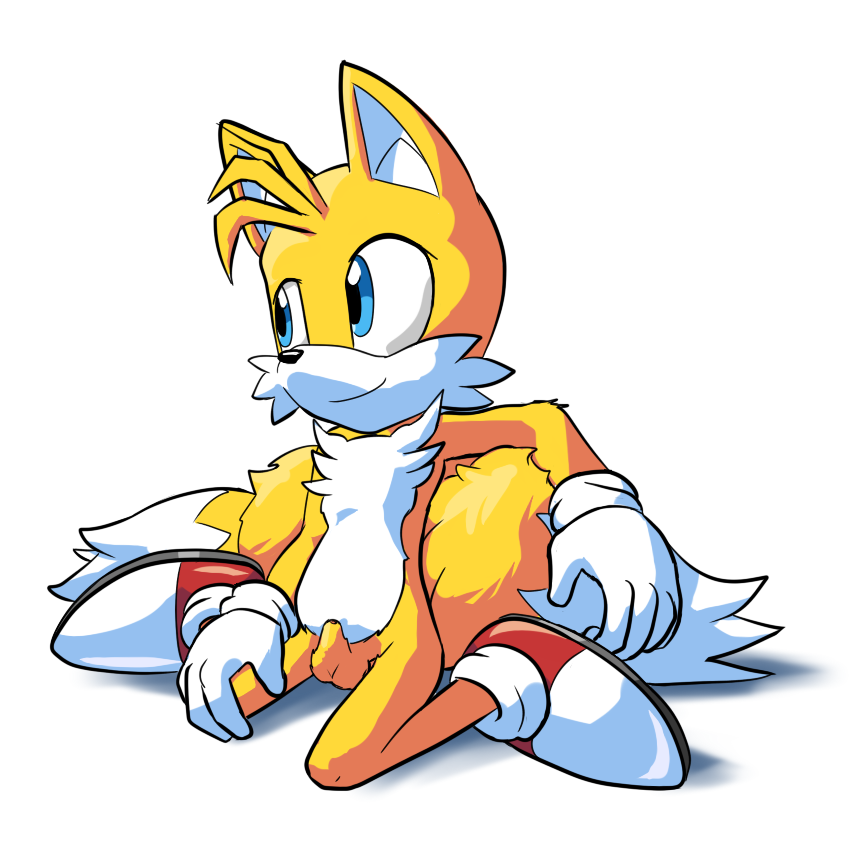 1:1 anthro balls blue_eyes canid canine clothing footwear fox fur genitals gloves goshaag handwear male male_only mammal mobian_(species) mostly_nude penis sega simple_background smile solo sonic_(series) sonic_the_hedgehog_(series) tails video_games