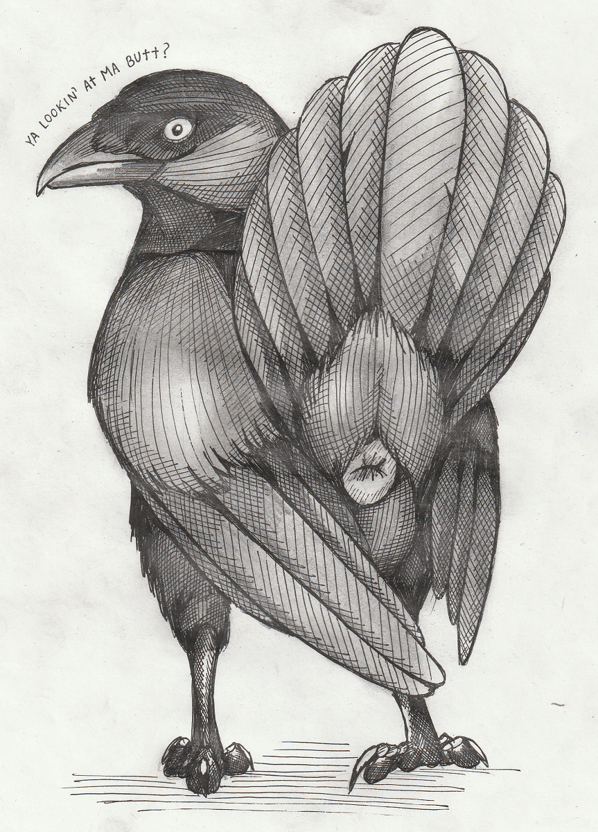 01phoenix01 2020 ambiguous_gender animal_genitalia ass_up avian bird cloaca corvid corvus_(genus) english_text feral genitals graphite_(artwork) hi_res jackdaw looking_at_viewer monochrome oscine passerine pencil_(artwork) presenting presenting_cloaca shaded solo standing text traditional_media_(artwork)