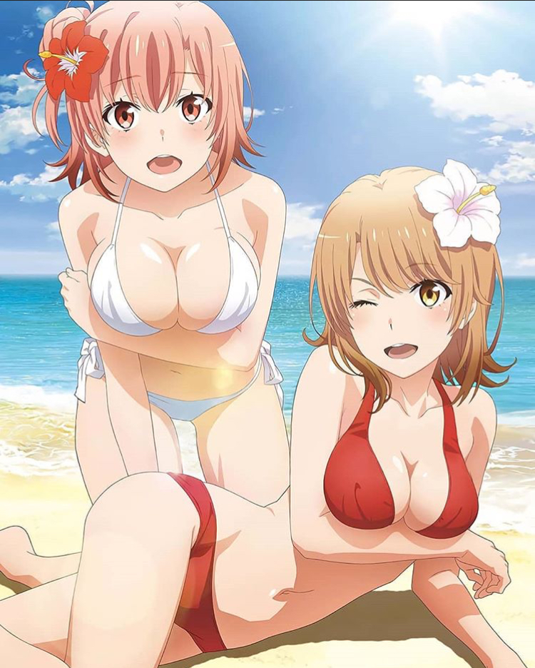 2girls, bikini, breasts, female, female only, hand under breasts, isshiki iroha, multiple females, multiple girls, my teen romantic comedy snafu, red rose, rose, tagme, white rose, yuigahama yui