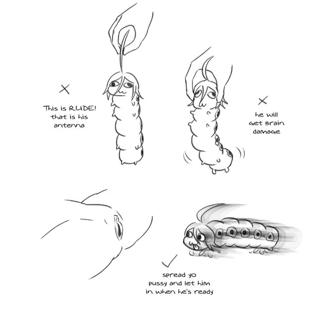bug, comedy, cuntboy, grub, infestation, meme, pussy, sketch, zincubis, zincworm