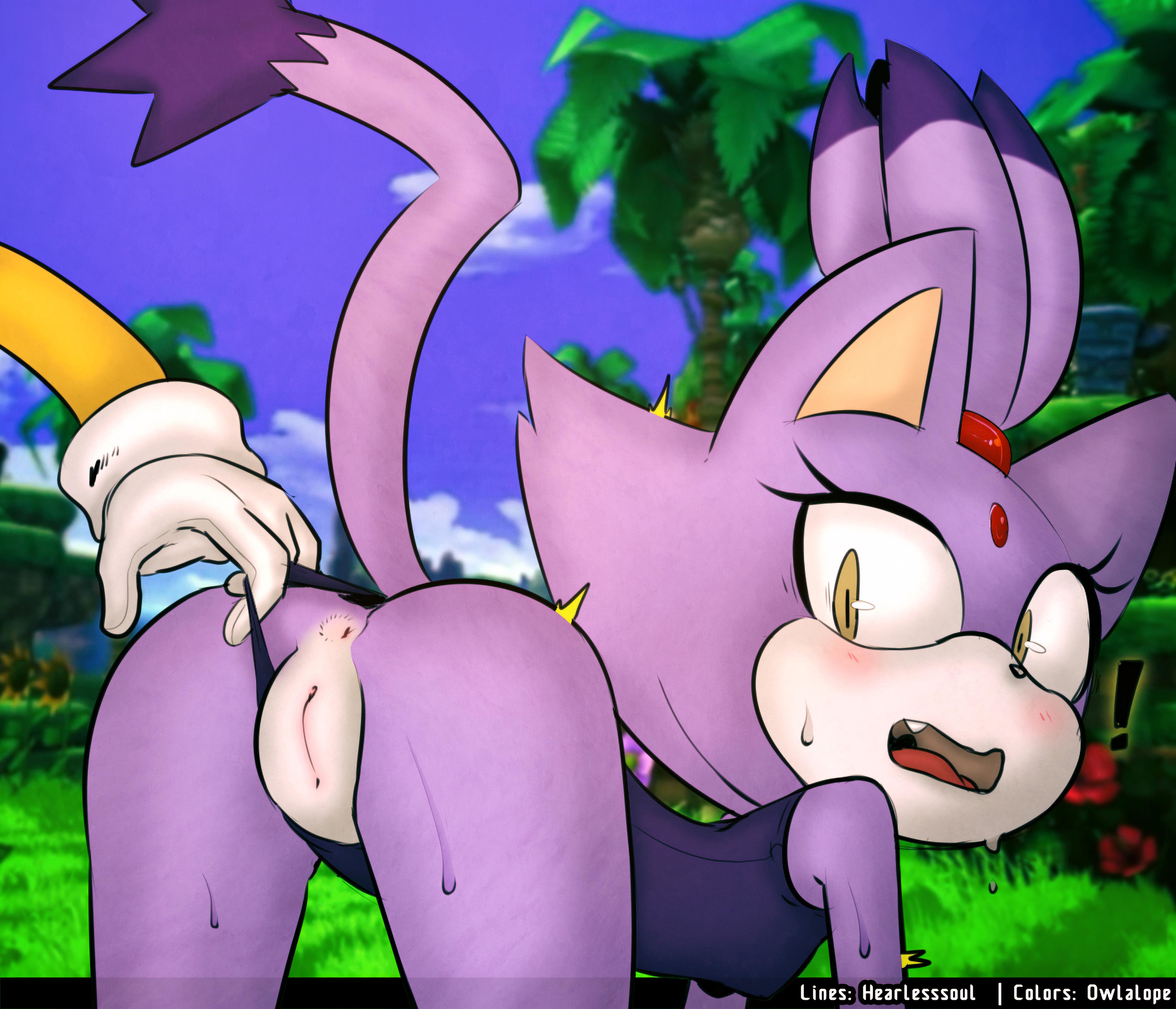 anus, blaze the cat, faceless male, female, female focus, hearlesssoul, male, owlalope, pussy, sonic (series), tail, tails, tails the fox, vagina