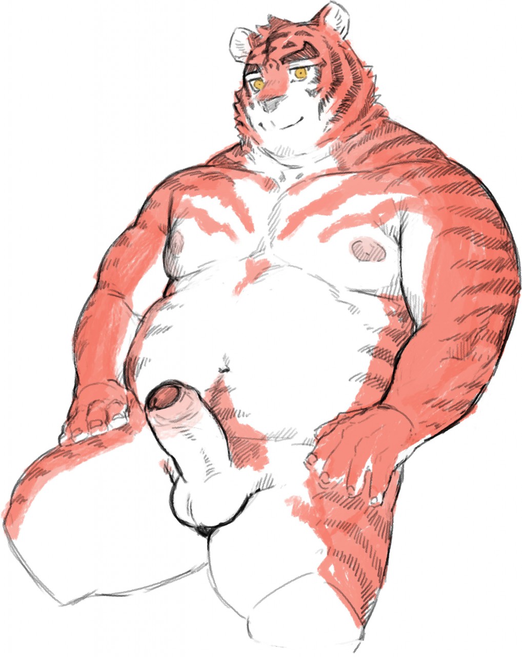 2019 anthro balls belly erection felid genitals hi_res male male_only mammal moobs navel nipples nu_nudo_do overweight overweight_anthro overweight_male pantherine penis simple_background solo tiger white_background