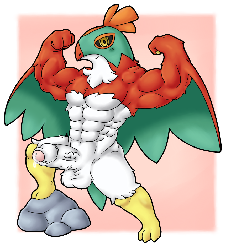 altenusy animal_genitalia anthro avian balls barazoku biceps bird bodily_fluids claws digital_media_(artwork) erection feathers fur genitals hawlucha humanoid_genitalia humanoid_penis looking_at_viewer male male_only muscular muscular_anthro muscular_male nintendo nude penis pokémon_(species) pokemon simple_background smile solo video_games wings yellow_eyes