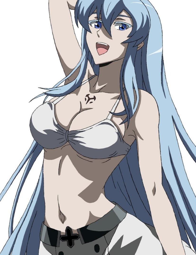 akame ga kill!, bikini, blue hair, esdeath (akame ga kill!), female, tagme