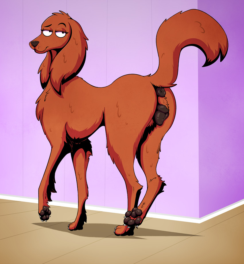 2024, animal anus, animal genitalia, animal pussy, anus, ass, asshole, bird dog, black anus, black eyes, black nose, black pawpads, black pussy, brown body, brown fur, canid, canine, canine anus, canine genitalia, canine pussy, canis, cherry (housebroken), claws, conditional dnp, digital media (artwork), domestic canine, domestic dog, eyelashes, female, female canine, female dog, female feral, female focus, female only, female solo, feral, feral female, feral focus, feral only, feral solo, fluffy, fluffy ears, fluffy fur, fluffy tail, fur, genitalia, half-closed eyes, hi res, high resolution, highres, hind legs, hindlegs, hindpaw, housebroken, hunting dog, irish setter, leg raised, long ears, looking back, mammal, narrowed eyes, pawpads, paws, plump labia, psy101, puffy anus, pussy, raised leg, raised tail, seductive, seductive female, seductive pose, setter, shaded, side view, simple background, smile, smiling, solo, solo female, solo feral, solo focus, tail, tail anus, tail raised, tailhole, toe claws, toes, vagina, vulva
