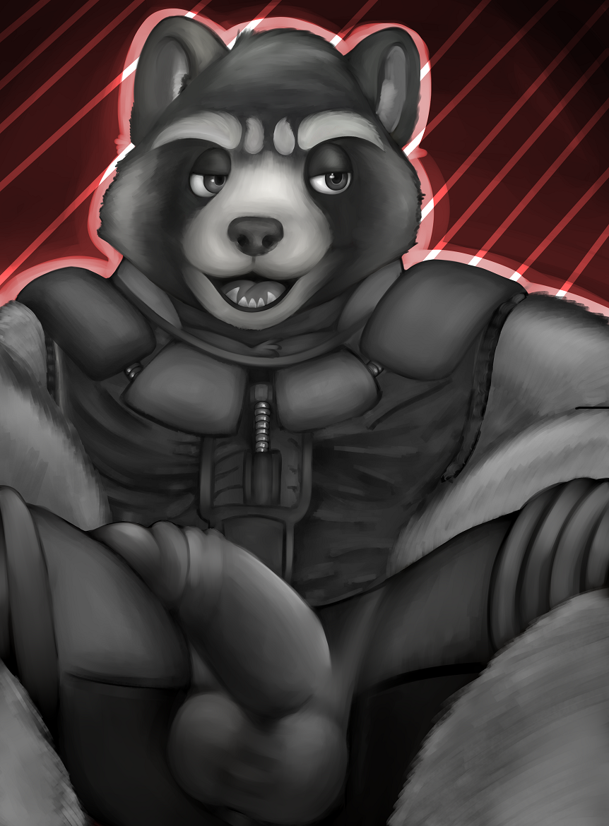 anthro anthro_only balls big_bulge bulge genitals guardians_of_the_galaxy humanoid_genitalia humanoid_penis male male_only mammal marvel munchbucket penis procyonid raccoon rocket_raccoon solo