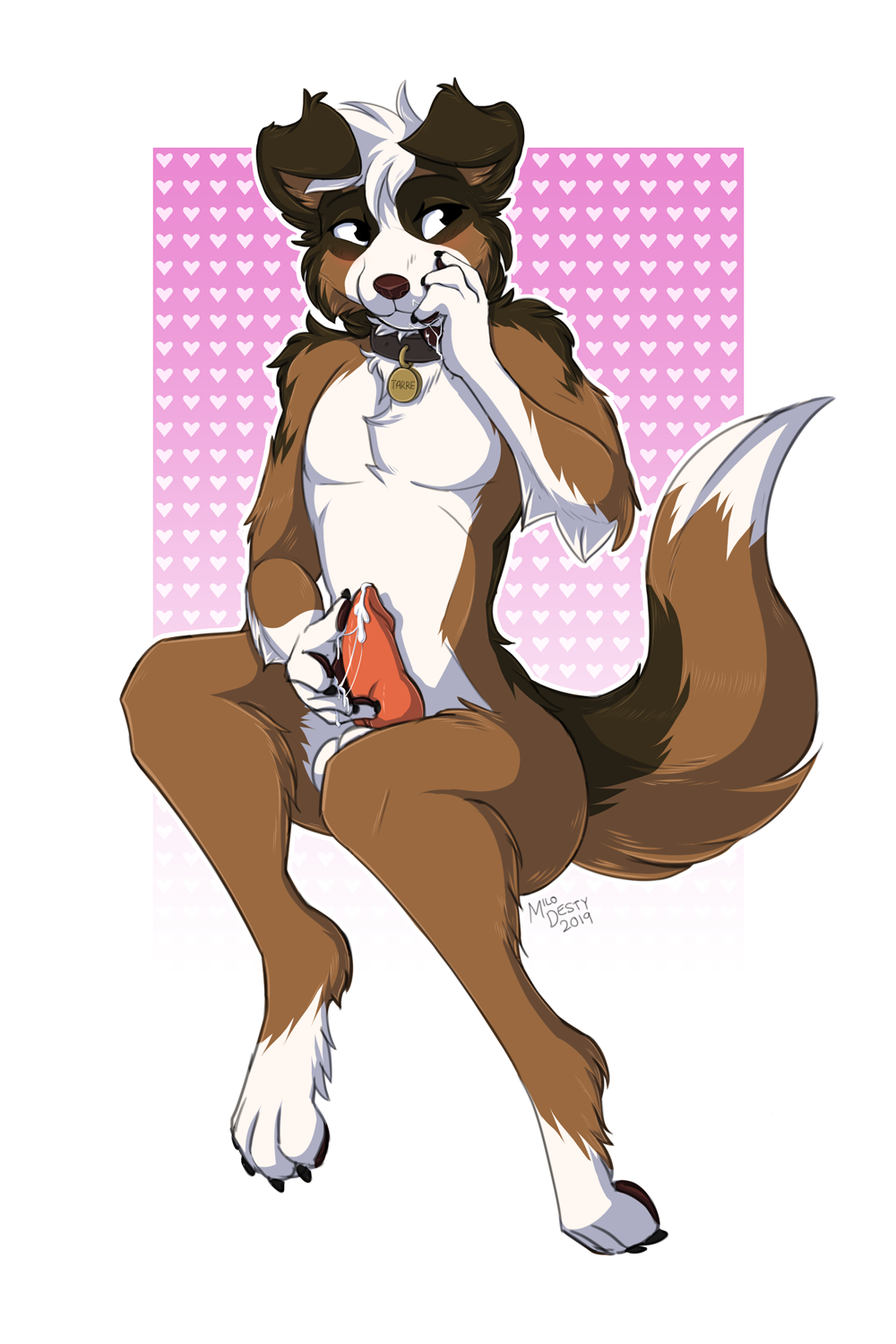 1boy 2019 2:3 4_fingers 4_toes abstract_background anthro balls biped black_eyes blush bodily_fluids brown_body brown_collar brown_fur brown_tail canid canine canis chest_tuft claws collar collar_only collar_tag cum cum_on_hand domestic_dog ejaculation erection fingers fur genital_fluids genitals hair hand_on_face heart hi_res holding_penis looking_aside male male_only mammal milodesty monotone_hair multicolored_body multicolored_fur multicolored_tail name_tag nude penis raised_tail shy signature simple_background smile solo text toes tuft white_body white_fur white_tail